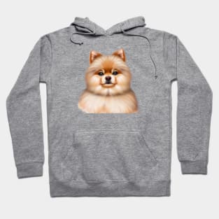 Cute Pomeranian Drawing Hoodie